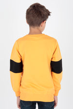 Boy Origami Printed Trend Sweatshirt AK15160