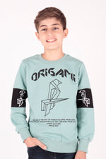 Boy Origami Printed Trend Sweatshirt AK15160