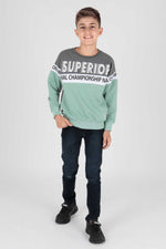 Boy Superior Printed Trend Sweatshirt AK15118