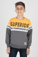 Boy Superior Printed Trend Sweatshirt AK15118
