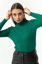 Female Fisherman Collar Knitwear Sweater