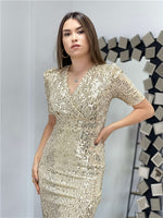 Velvet Payet Jacket Dress - Gold