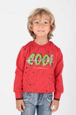Kids Men's Cool Printed Sweat Long Sleeve Sweatshirt Cotton Ak222402