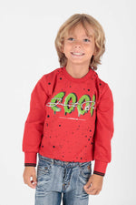 Kids Men's Cool Printed Sweat Long Sleeve Sweatshirt Cotton Ak222402
