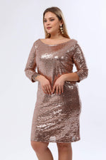 Plus Size Sequin Evening Dress KL5601 powder