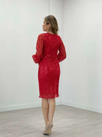 Tulle Payet Design Dress - Red